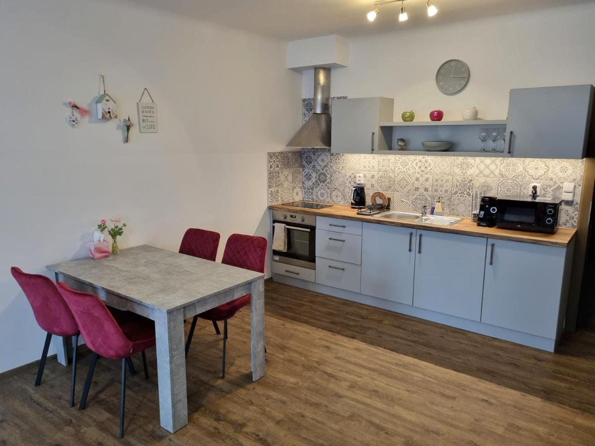 Velke Studio Na Velkem Namesti S Vybavenou Kuchyni Hradec Králové Dış mekan fotoğraf